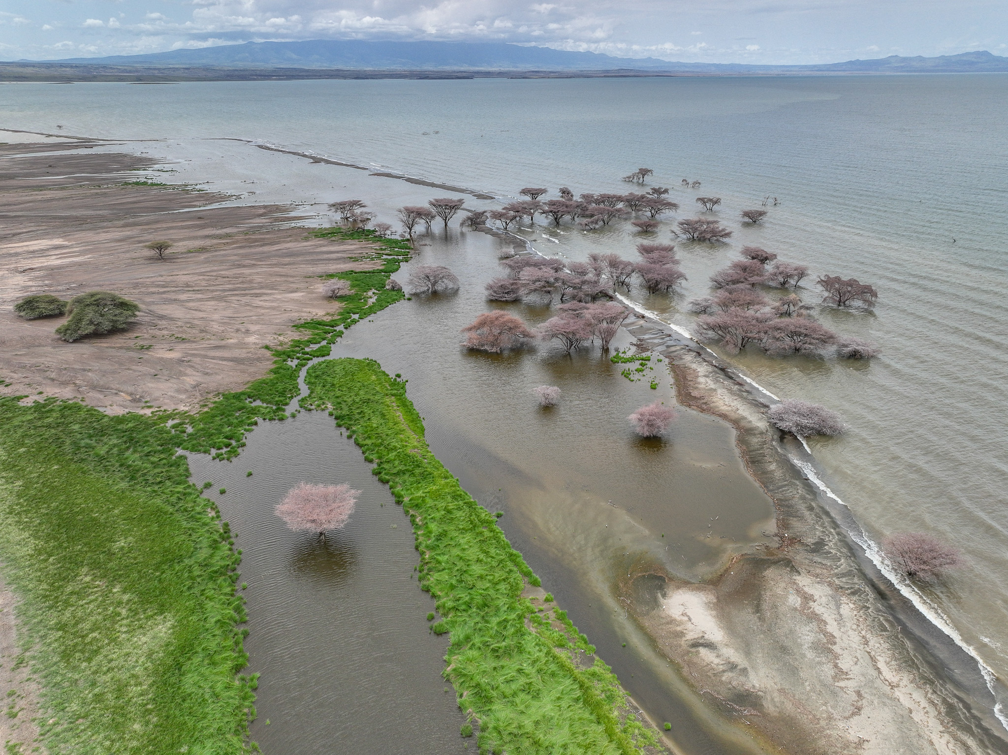 Women And Lake Abijata Boosting Livelihoods To Save A Lake In Peril women-and-lake-abijata-boosting-livelihoods-to-save-a-lake-in-peril